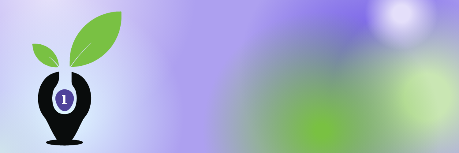 Indigo Education Company Certification 1